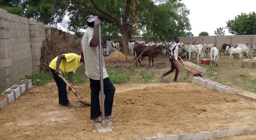 İDDEF, Kurban Organizasyonuna Hazır